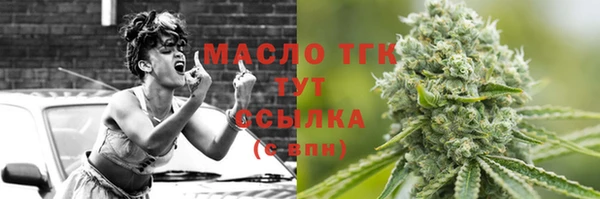 сатива Корсаков