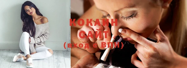 сатива Корсаков