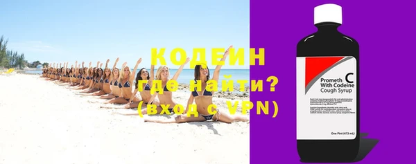 сатива Корсаков