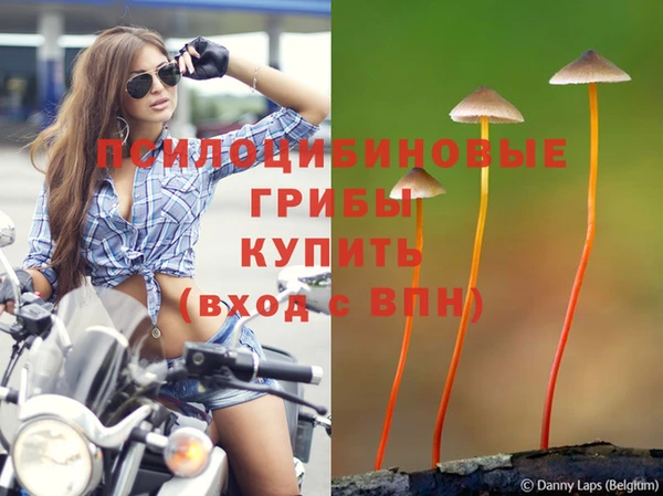 MESCALINE Нязепетровск