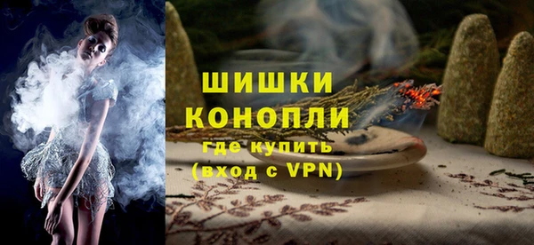 сатива Корсаков